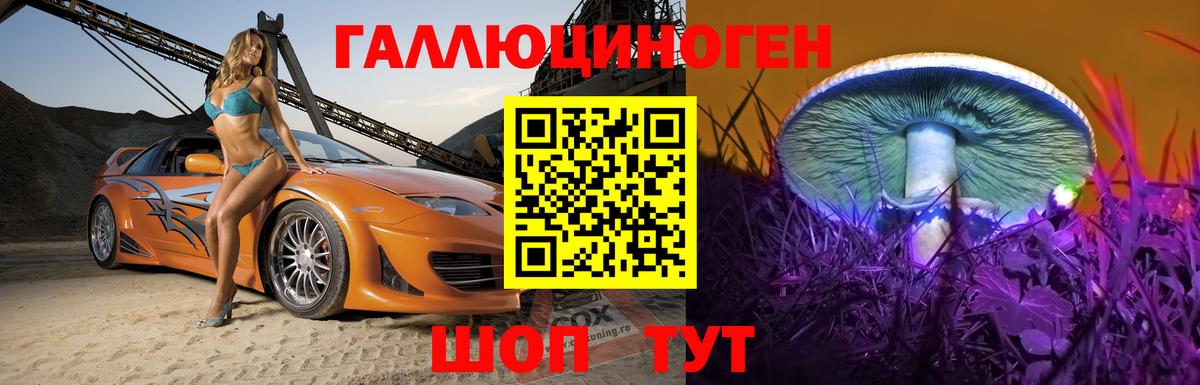 Псилоцибиновые грибы Psilocybine cubensis  Вход с VPN  Зима 
